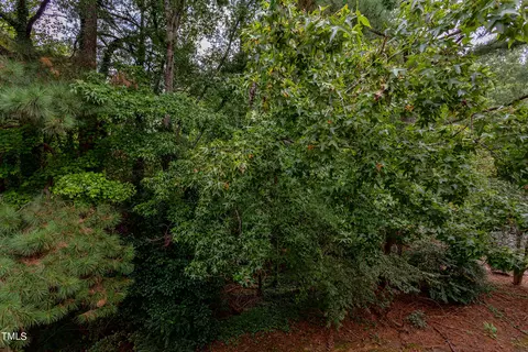 3310 Tarleton W, Durham, NC 27713 photo 31