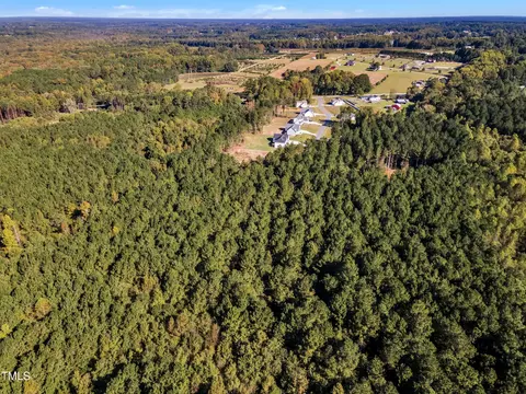 170 Parrish Landing Way, Angier, NC 27501 photo 17