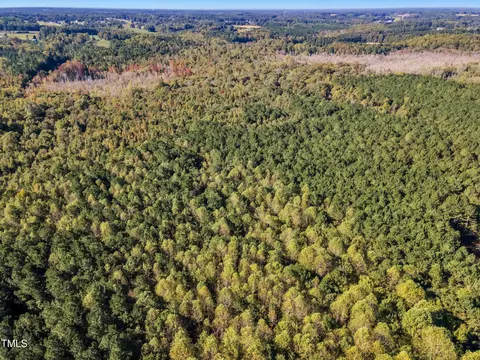 170 Parrish Landing Way, Angier, NC 27501 photo 3