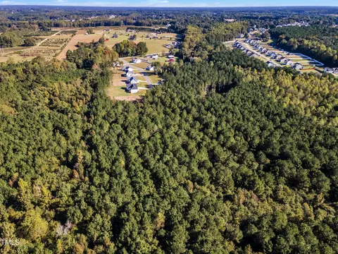 170 Parrish Landing Way, Angier, NC 27501 photo 15