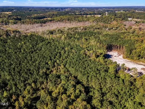 170 Parrish Landing Way, Angier, NC 27501 photo 23