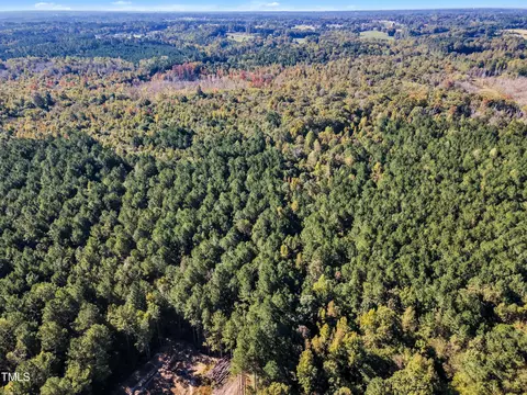 170 Parrish Landing Way, Angier, NC 27501 photo 22