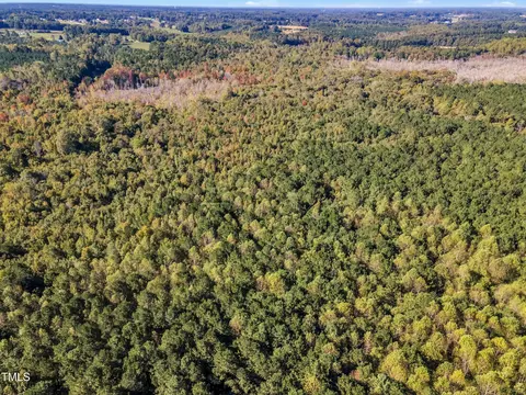 170 Parrish Landing Way, Angier, NC 27501 photo 4