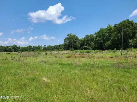 0 Basstown Rd, Clinton, NC 28328 photo 2