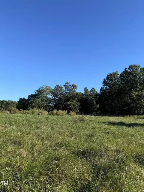 0 George Winston Road Rd, Bullock, NC 27507