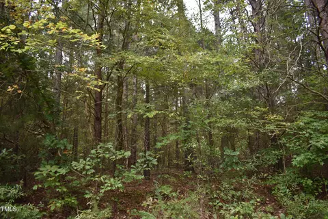 tbd Tom Stevens Rd, Siler City, NC 27344