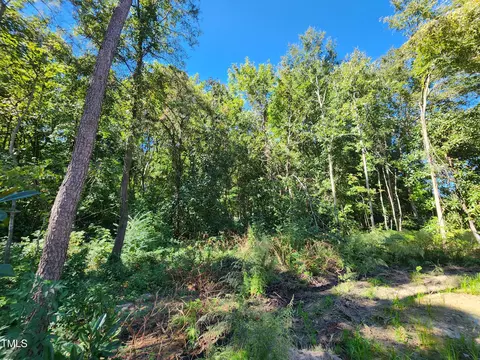 910 West St, Smithfield, NC 27577 photo 44