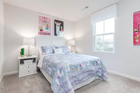 Bedroom - 3960 Dragonfly Rd, Bailey, NC 27807 photo 3 of 4