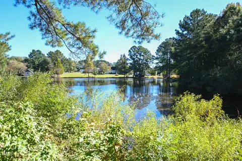 View/Area - 313 William Dr, Benson, NC 27504 photo 1 of 1