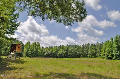 4070 Range Rd, Stem, NC 27581 photo 19