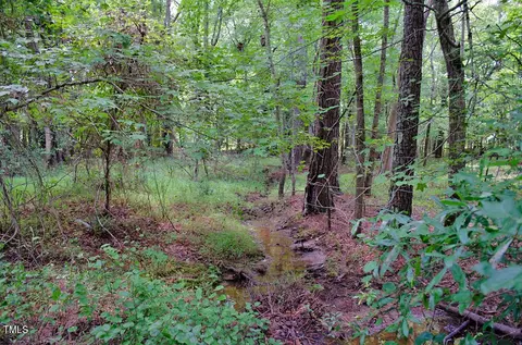 4070 Range Rd, Stem, NC 27581 photo 16