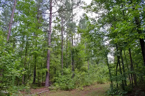 4070 Range Rd, Stem, NC 27581 photo 9