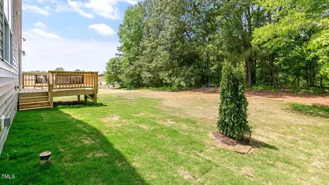 44 Ogburn Hicks Way, Willow Spring, NC 27592 photo 6