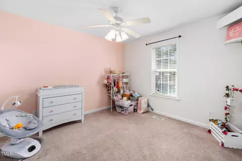 277 Hornbeam Ln, Willow Spring, NC 27592 photo 29