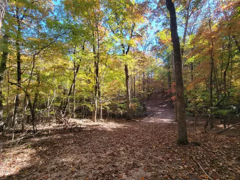 669 Crabtree Glenn Rd, Rougemont, NC 27572 photo 3
