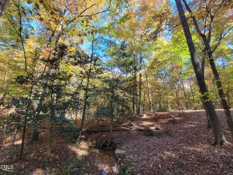 669 Crabtree Glenn Rd, Rougemont, NC 27572 photo 4