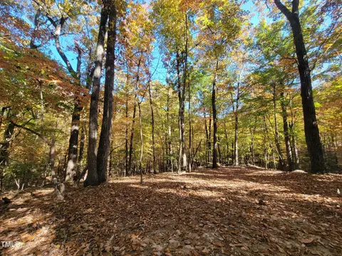 669 Crabtree Glenn Rd, Rougemont, NC 27572 photo 2