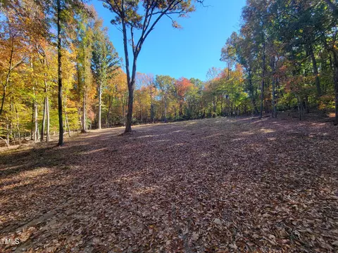 669 Crabtree Glenn Rd, Rougemont, NC 27572 photo 7