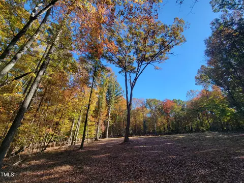 669 Crabtree Glenn Rd, Rougemont, NC 27572 photo 6