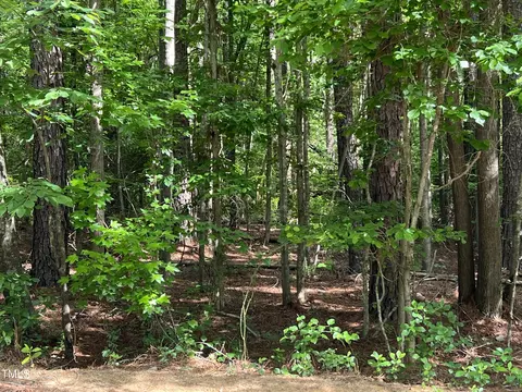 238 Chestnut Dr, Vass, NC 28394 photo 3