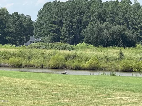 238 Chestnut Dr, Vass, NC 28394 photo 8
