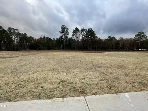 95 Deodora Ln, Cameron, NC 28326 photo 19