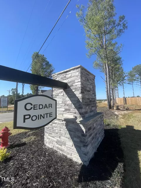 Other - 79 Deodora Ln, Cameron, NC 28326 photo 8 of 8
