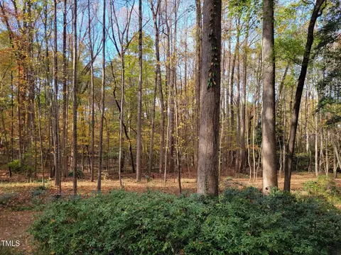 7204 Bocage Pl, Wake Forest, NC 27587 photo 18