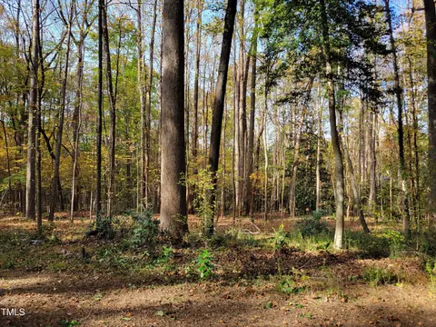 7204 Bocage Pl, Wake Forest, NC 27587 photo 74