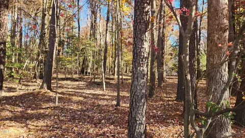 3901 Langston Cir, Apex, NC 27539