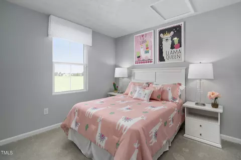 Bedroom - 4000 Dragonfly Rd, Bailey, NC 27807 photo 3 of 3