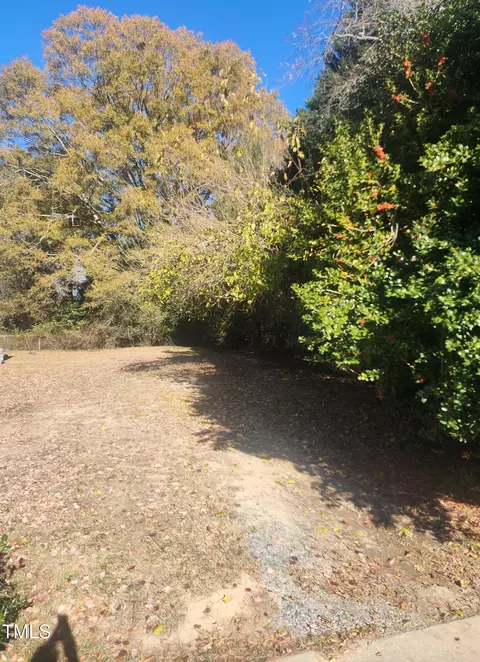 128 W Earp St, Holly Springs, NC 27540