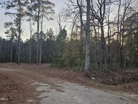 520 Fire Lane Rd, Bunnlevel, NC 28323 photo 3