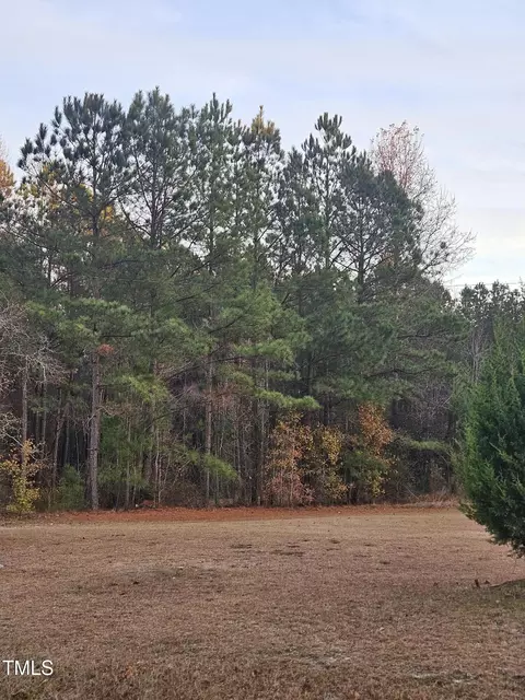520 Fire Lane Rd, Bunnlevel, NC 28323 photo 4
