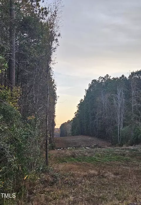 520 Fire Lane Rd, Bunnlevel, NC 28323 photo 2