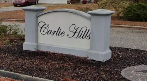 148 Frenchie Ln, Bunnlevel, NC 28323 photo 3