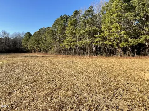 125 Hydrangea Ln, Benson, NC 27504 photo 16