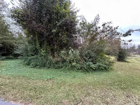 179 Riverview Rd, Erwin, NC 28339 photo 3