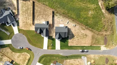 View/Area - 44 Junius Ct, Angier, NC 27501 photo 4 of 6