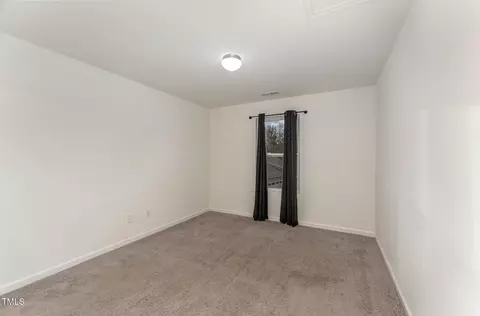 181 Pineapple Pl, Benson, NC 27504 photo 22