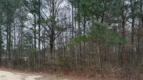 3 Titan Roberts Rd, Erwin, NC 28339 photo 4