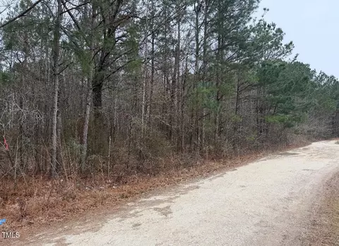 4 Titan Roberts Rd, Erwin, NC 28339 photo 3
