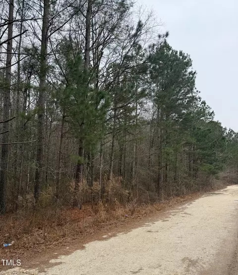 4 Titan Roberts Rd, Erwin, NC 28339 photo 2