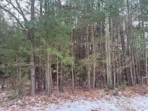4108 Wilson Town Rd, Stovall, NC 27582
