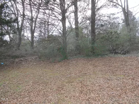 512 E Branch St, Spring Hope, NC 27882 photo 27