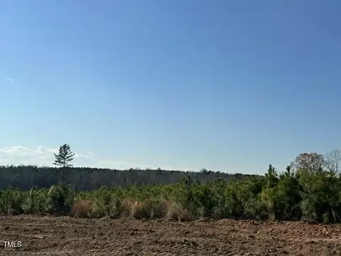 lot8 Green Downs Trl, Spring Hope, NC 27882 photo 10