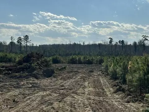 lot8 Green Downs Trl, Spring Hope, NC 27882 photo 7