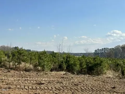 lot8 Green Downs Trl, Spring Hope, NC 27882 photo 8