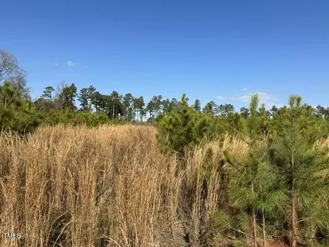 lot8 Green Downs Trl, Spring Hope, NC 27882 photo 4