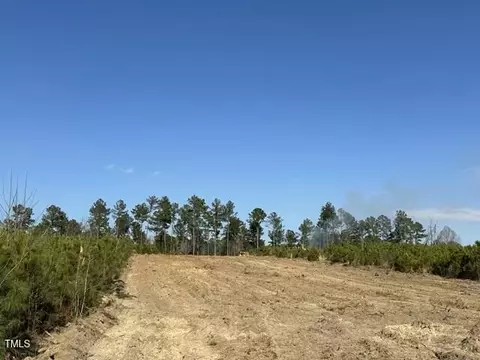 lot8 Green Downs Trl, Spring Hope, NC 27882 photo 5